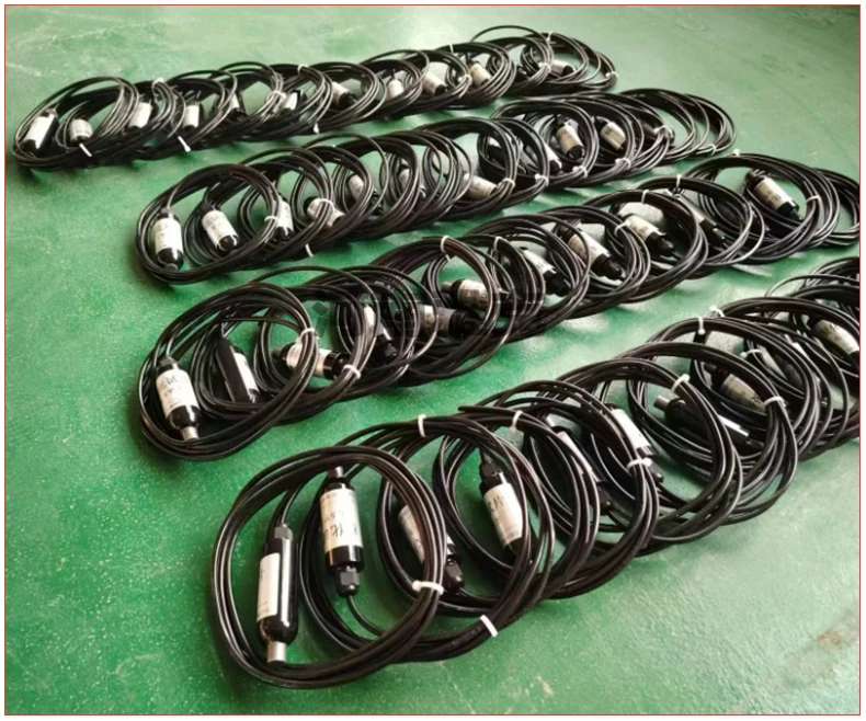 抗干扰极化试片6.5mm2阴极保护检查片 圆形带开关极化电位 钢材