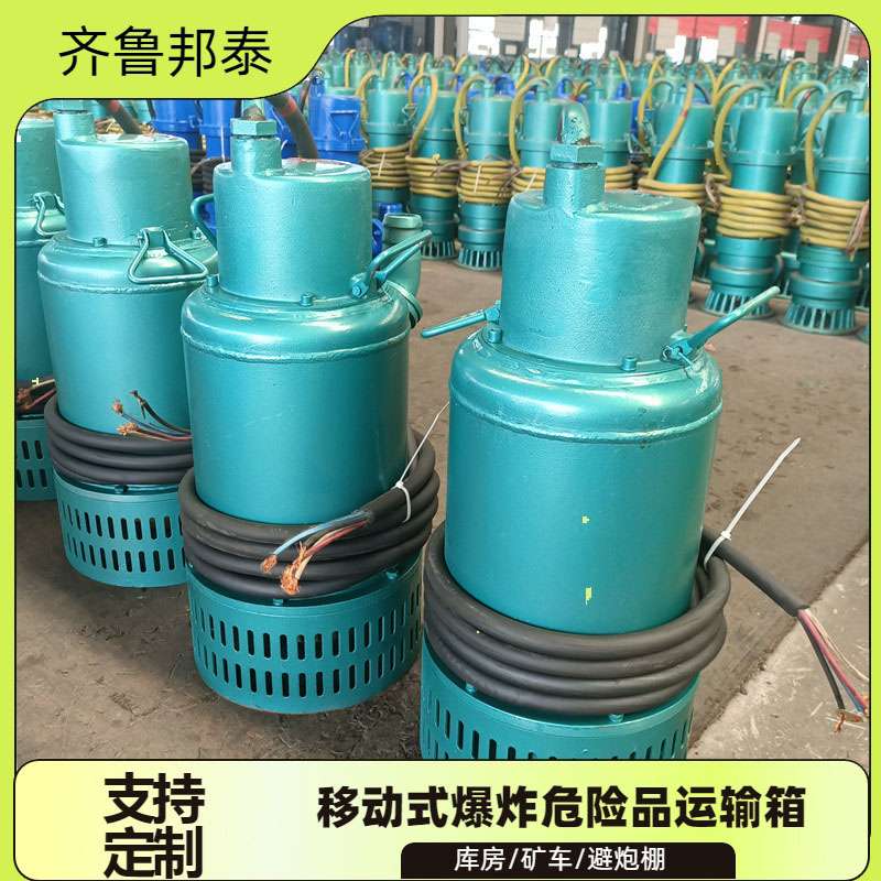 BQS矿用隔爆潜水排沙电泵25-30-5.5/B